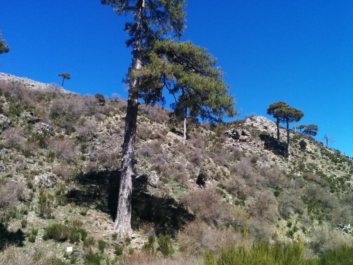Casa Rural Curtidores El Batán Εξωτερικό φωτογραφία